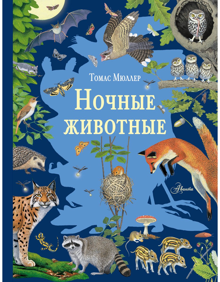 Книга Мюллер Т.: Ночные животные купить,NaN