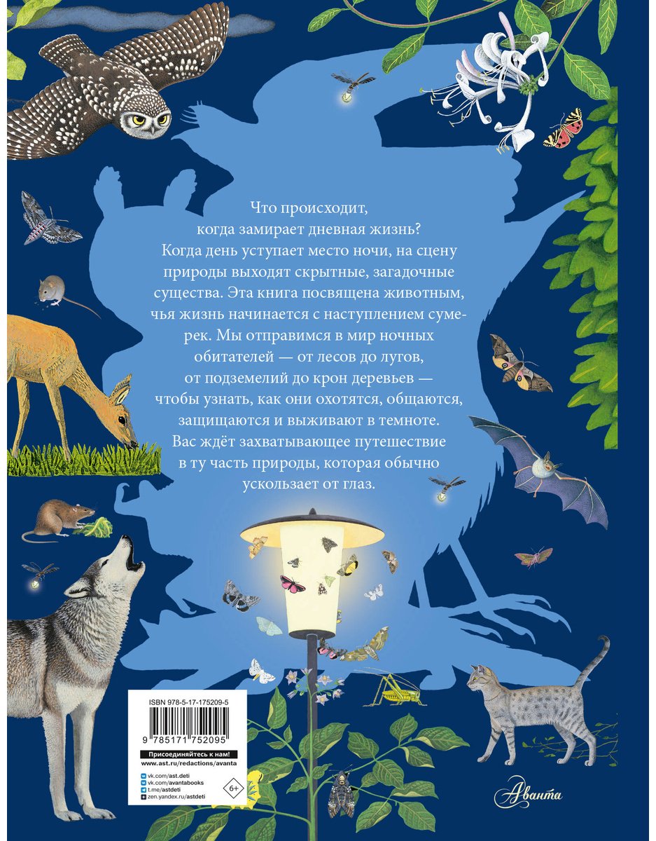 Книга Мюллер Т.: Ночные животные купить,NaN