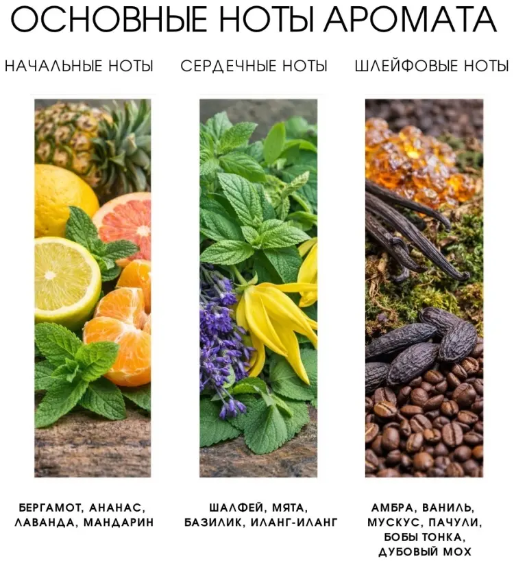 Dilis Growland Great Oak парфюмерная вода EDP 100 мл, для мужчин купить,NaN
