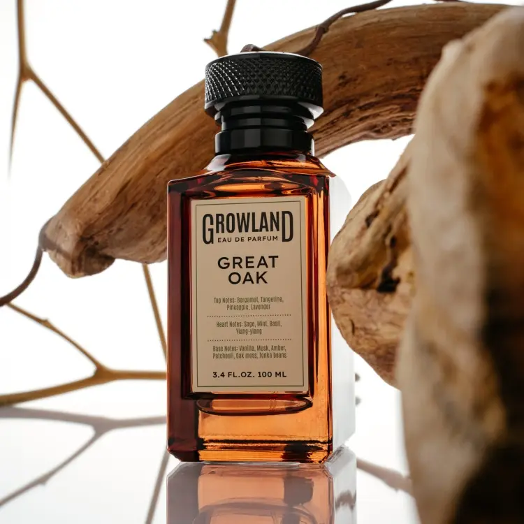 Dilis Growland Great Oak парфюмерная вода EDP 100 мл, для мужчин купить,NaN