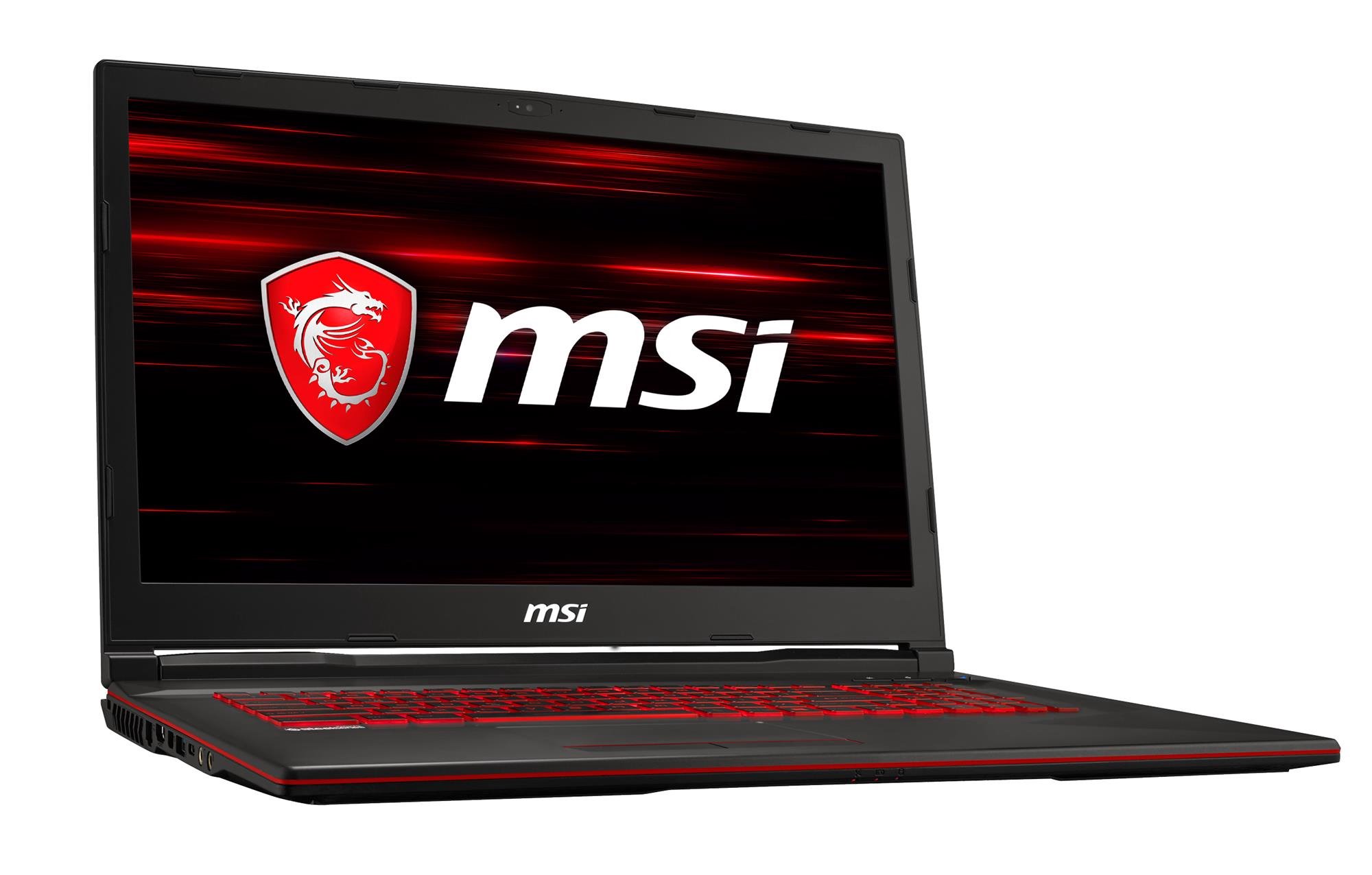 Ноутбук MSI GL73 8SD/9S7-17C722-090 черный купить,NaN