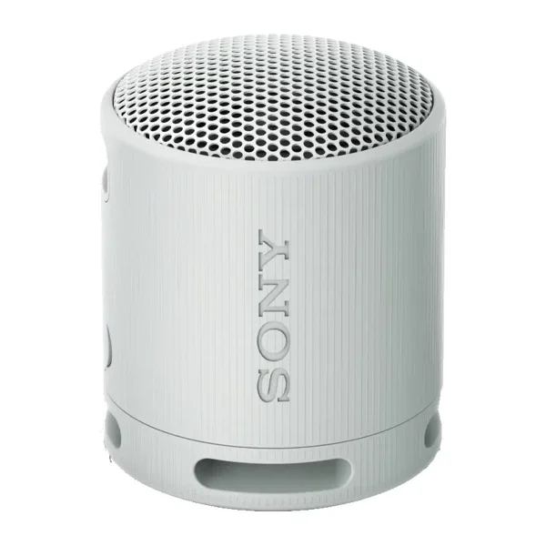Портативная колонка Sony SRS-XB100/BHE серая