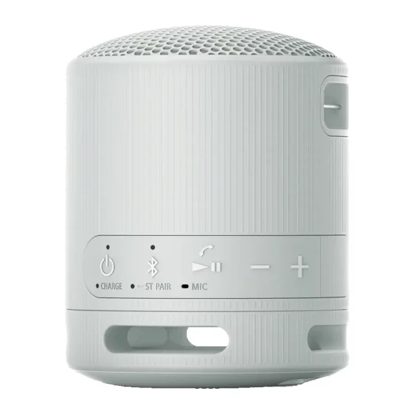 Портативная колонка Sony SRS-XB100/BHE серая купить,0