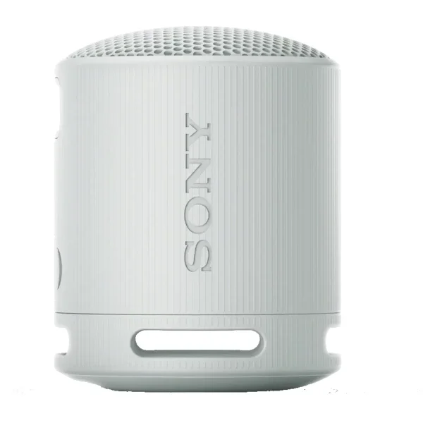 Портативная колонка Sony SRS-XB100/BHE серая купить,0