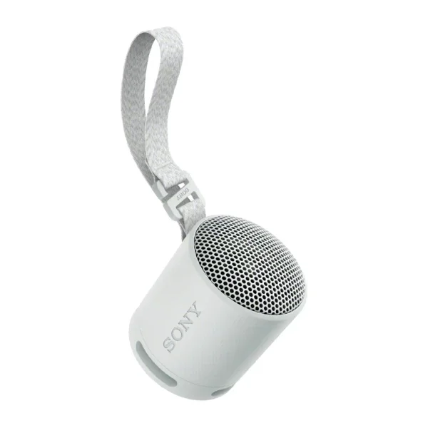 Портативная колонка Sony SRS-XB100/BHE серая купить,0