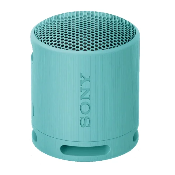 Портативная колонка Sony SRS-XB100/LCE голубая