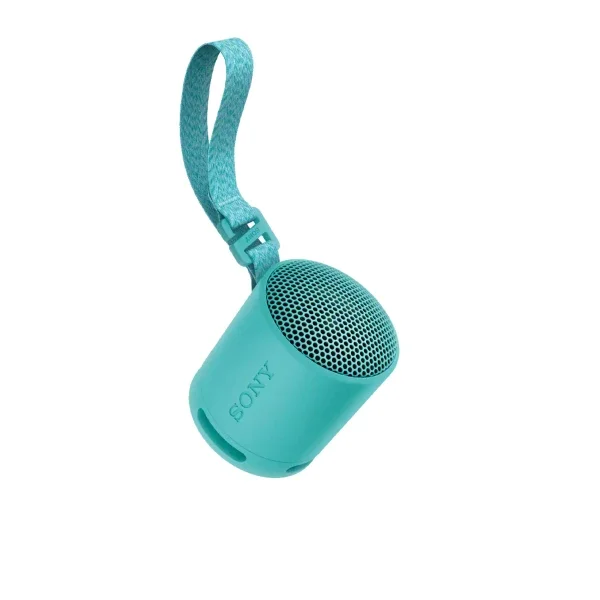 Портативная колонка Sony SRS-XB100/LCE голубая купить,0