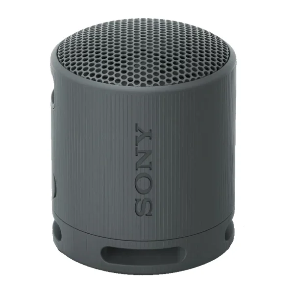 Портативная колонка Sony SRS-XB100/BCE черная