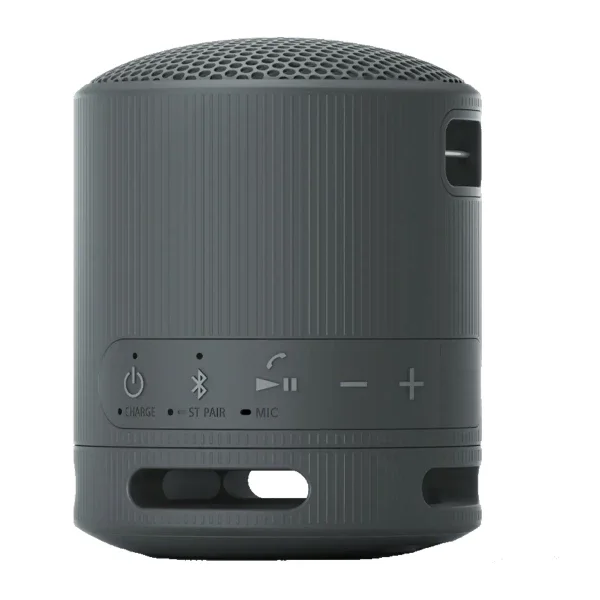 Портативная колонка Sony SRS-XB100/BCE черная - ForteMarket Портативная колонка Sony SRS-XB100/BCE черная купить,0