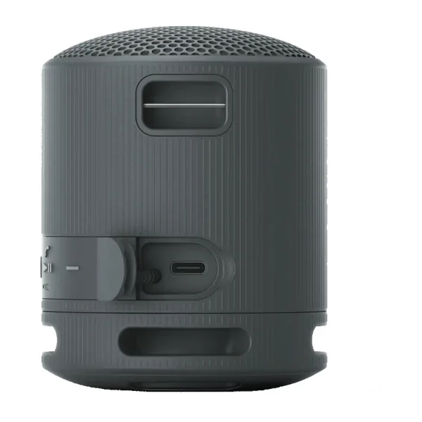 Портативная колонка Sony SRS-XB100/BCE черная - ForteMarket Портативная колонка Sony SRS-XB100/BCE черная купить,0