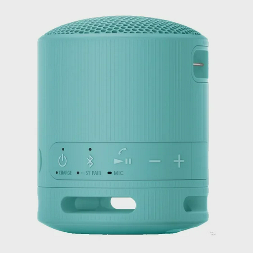 Портативная колонка Sony SRS-XB100/LCE голубая