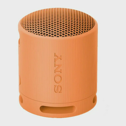 Портативная колонка Sony SRS-XB100/DCE оранжевая