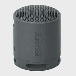 Портативная колонка Sony SRS-XB100/BCE черная