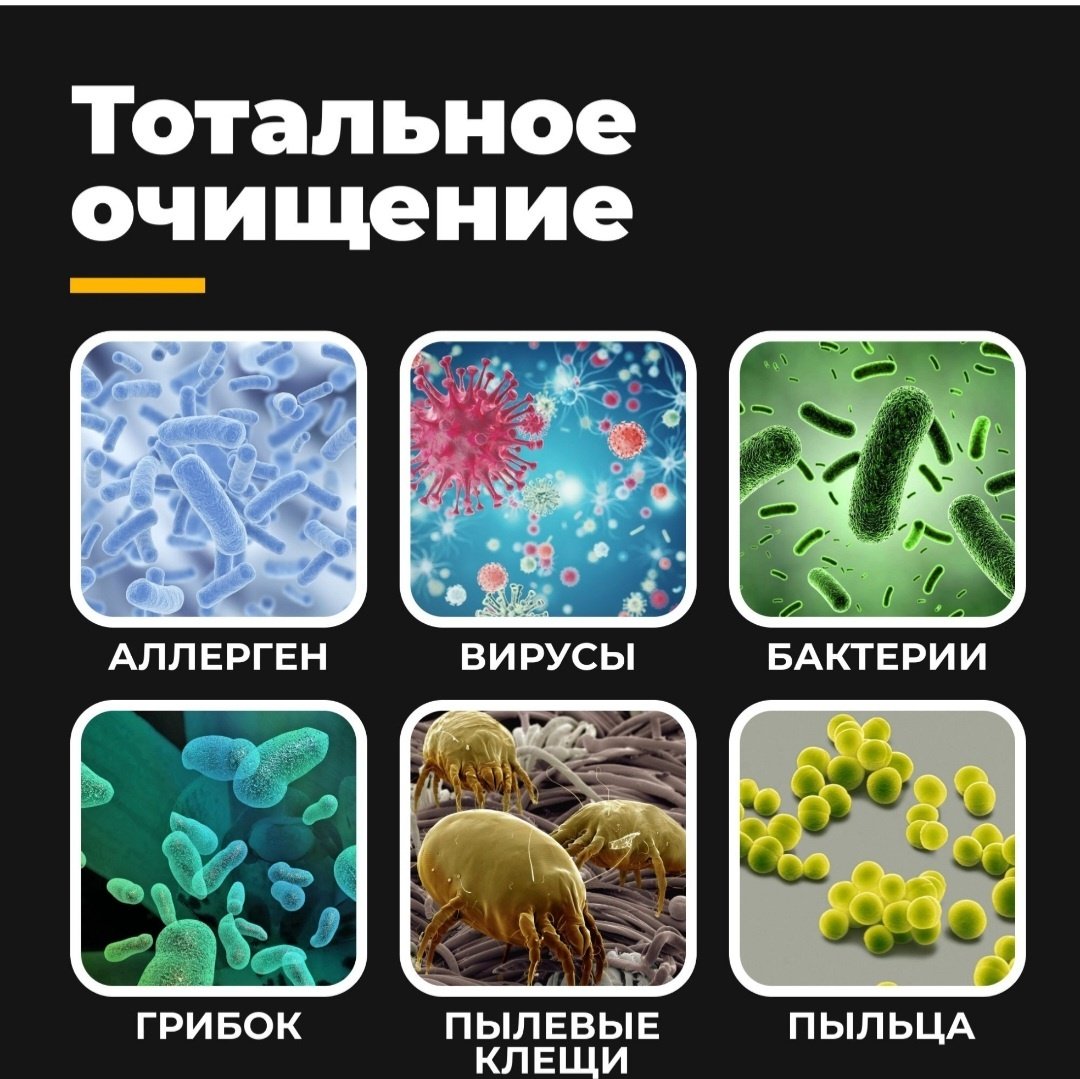 Очиститель воздуха Futula H4S белый - ForteMarket Очиститель воздуха Futula H4S белый купить,0