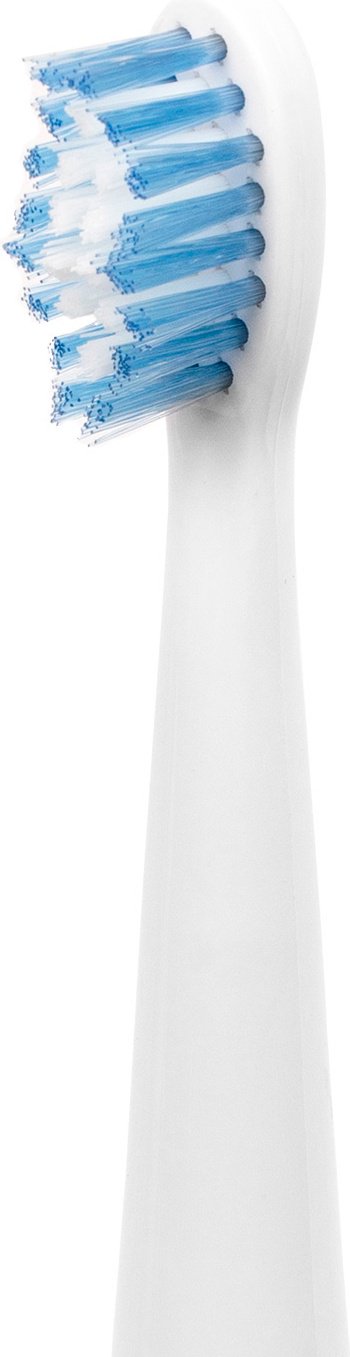 Насадка GALAXY LINE GL4990 звуковая 2 шт - ForteMarket Насадка GALAXY LINE GL4990 звуковая 2 шт купить,0