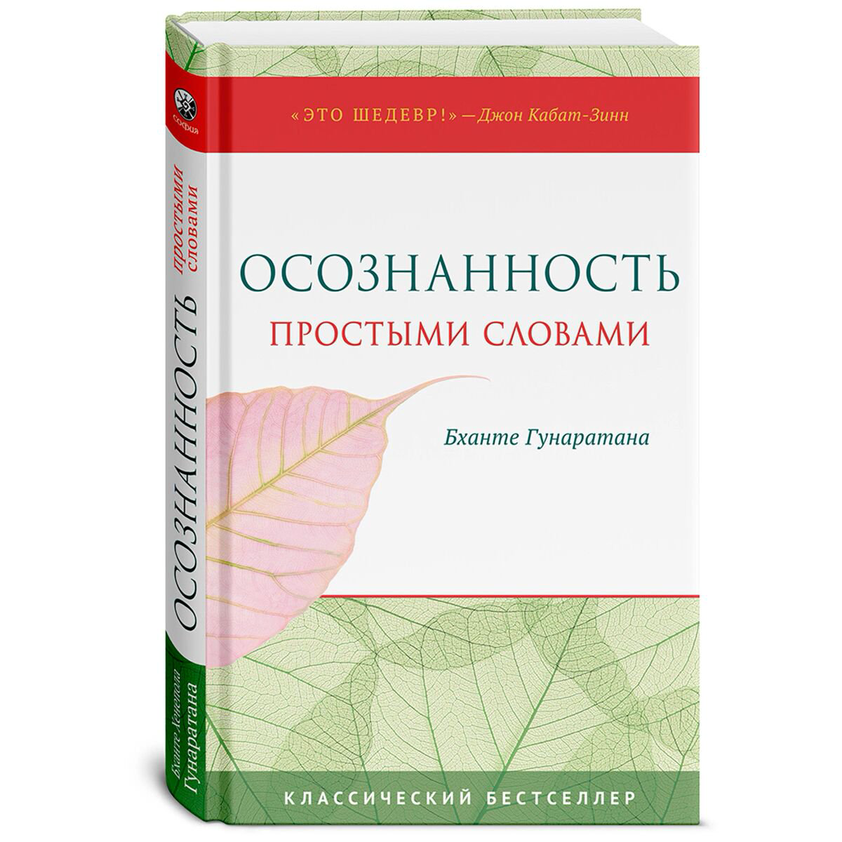 Эзотерика Гунаратана Б. Х. Осознанность простыми словами купить,NaN