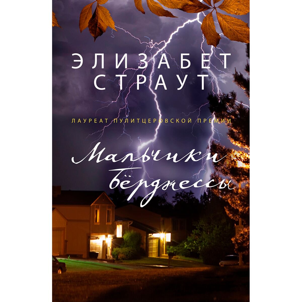 Современная проза Страут Э. Мальчики Бёрджессы купить,NaN