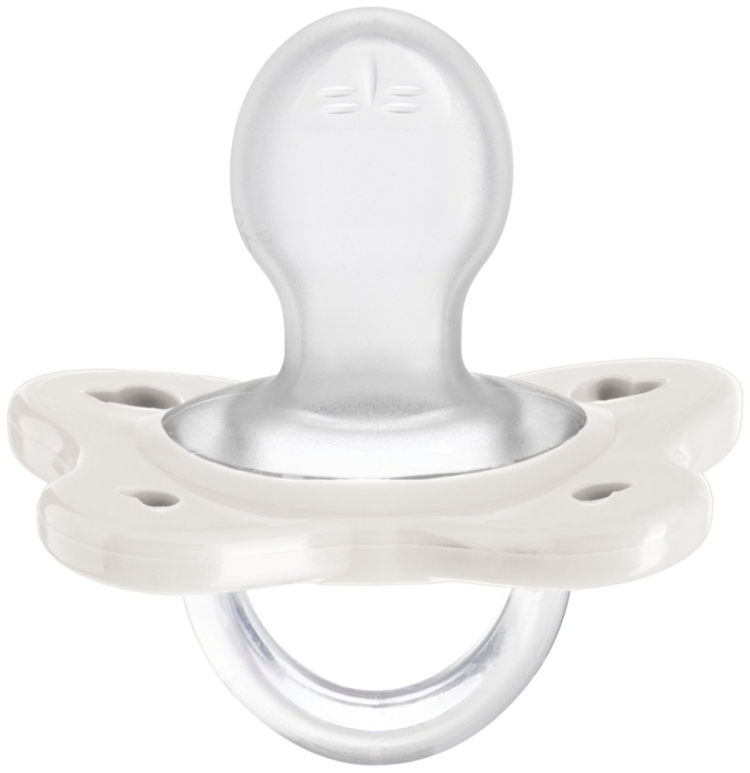 Пустышка Chicco PhysioForma Dual Soft 2-6 м 00073088510000, 2 шт, мультиколор купить,0
