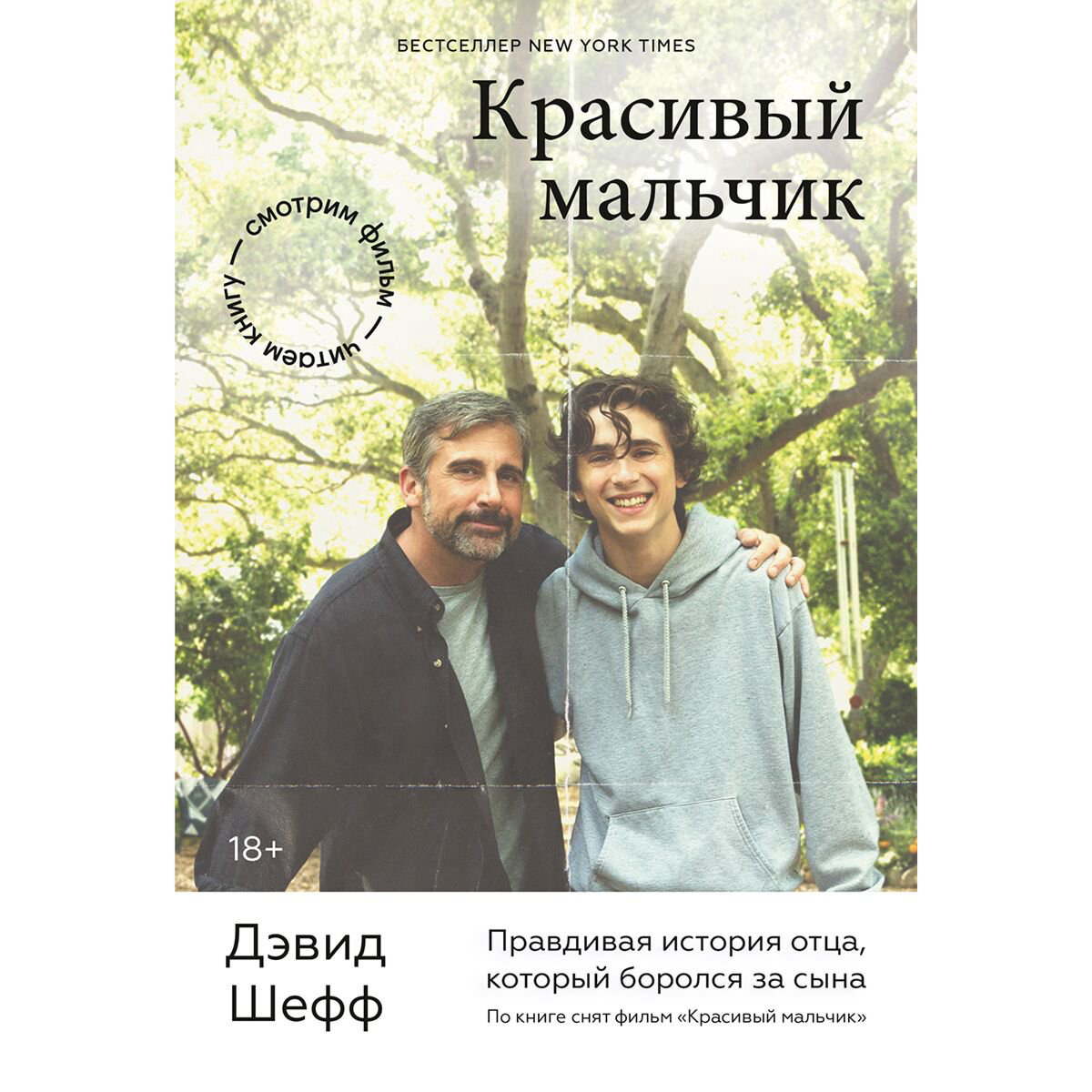 Современная проза Шефф Д. Красивый мальчик. Правдивая история отца, который боролся за сына купить,NaN