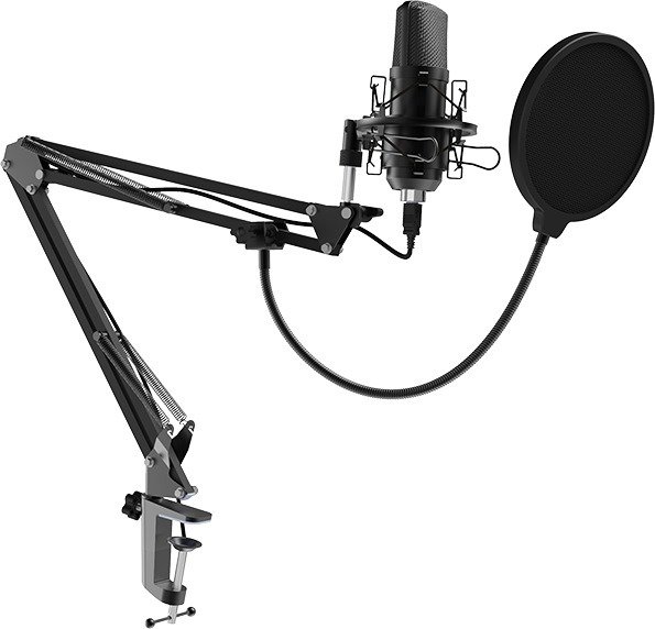 Микрофон Ritmix RDM-169 черный