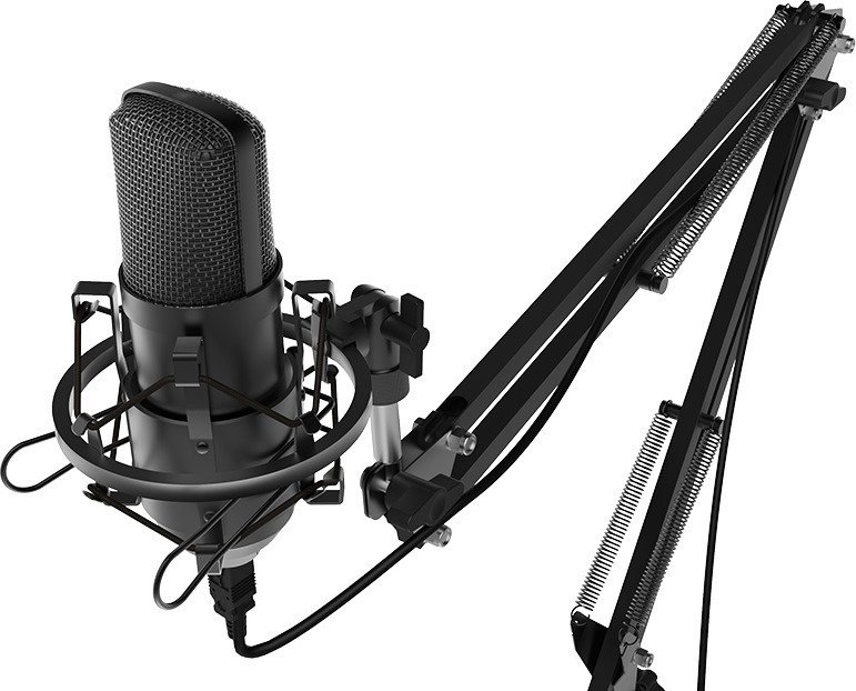 Микрофон Ritmix RDM-169 черный