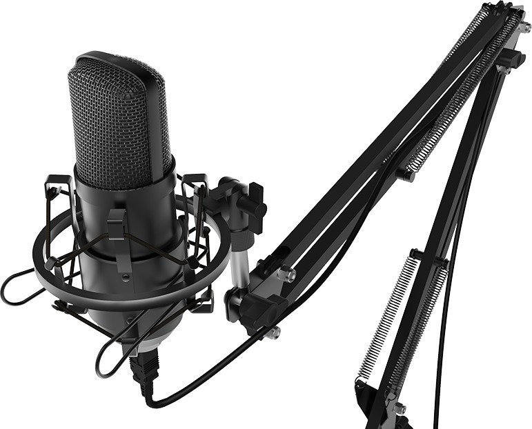 Микрофон Ritmix RDM-169 черный купить,NaN