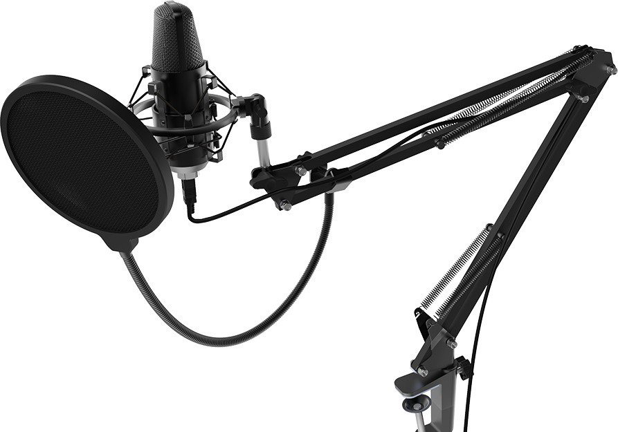 Микрофон Ritmix RDM-169 черный купить,NaN