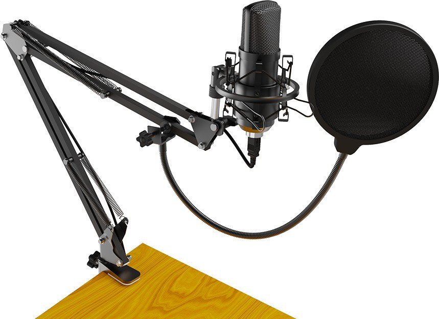 Микрофон Ritmix RDM-169 черный