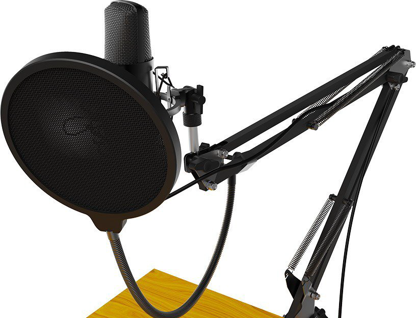 Микрофон Ritmix RDM-169 черный купить,NaN