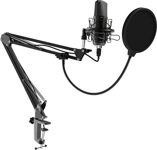Микрофон Ritmix RDM-169 черный