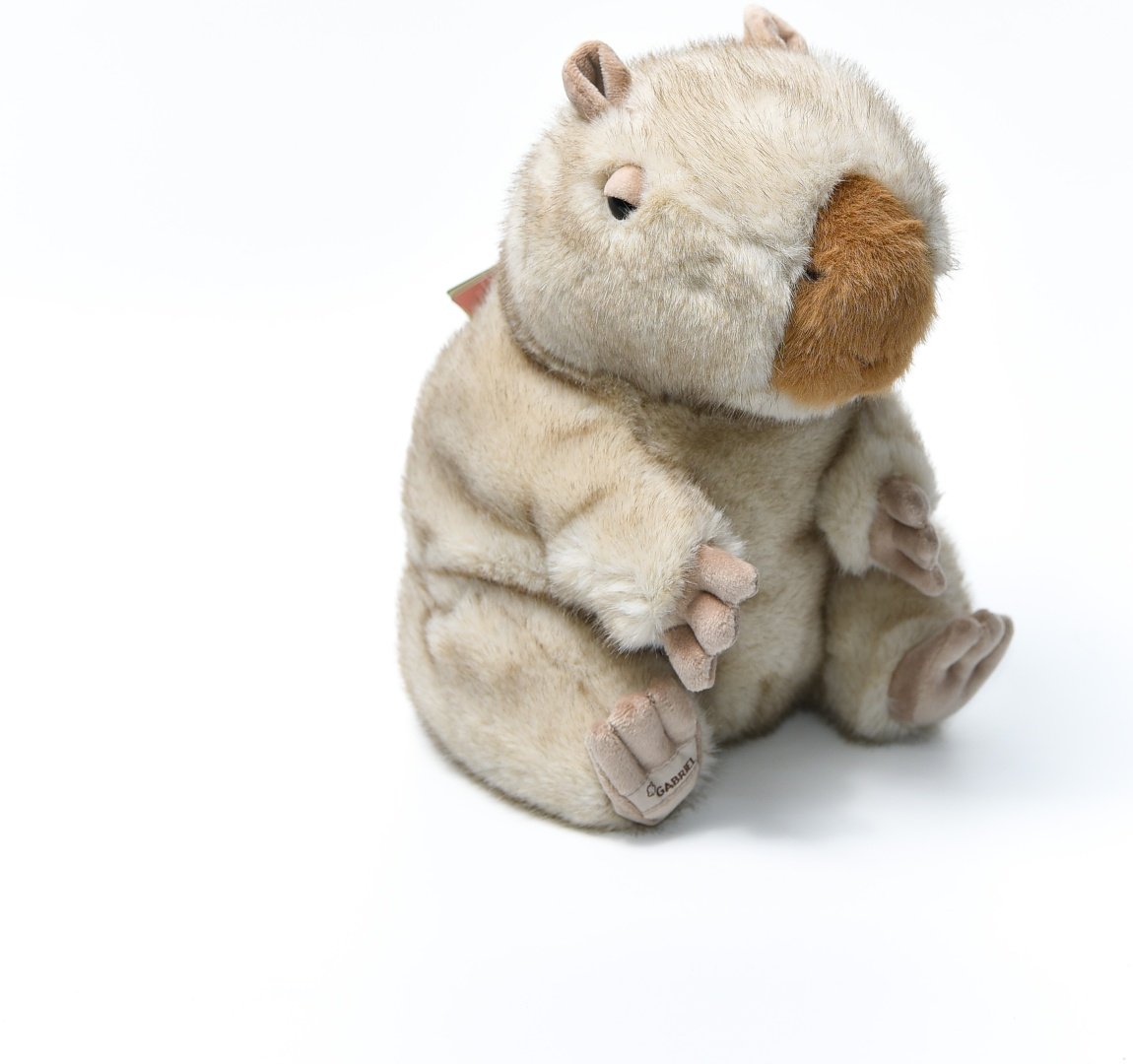 Мягкая игрушка GABRIEL LITTLE CARPE, 15 см - ForteMarket Мягкая игрушка GABRIEL LITTLE CARPE, 15 см купить,0