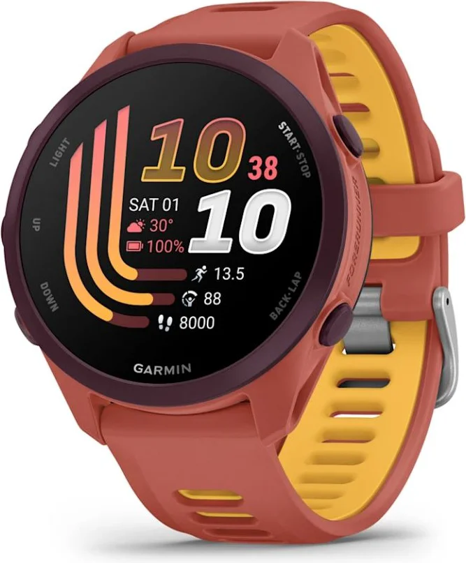 Смарт-часы Garmin Forerunner 170 Music 42мм красный