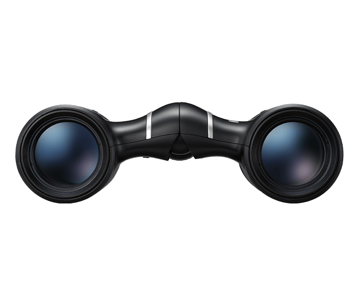 Бинокль Nikon Aculon T02 10x21 черный купить,NaN