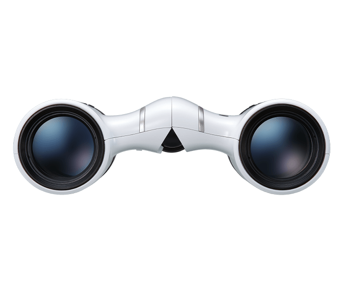 Бинокль Nikon Aculon T02 8x21 белый купить,NaN