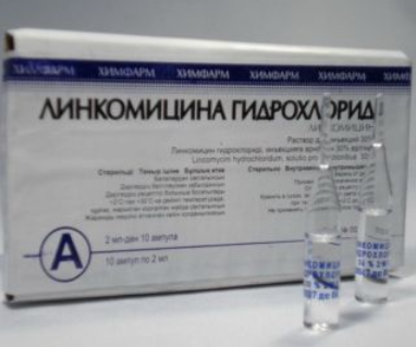 Химфарм АО Santo Линкомицина гидрохлорид 30% 1мл N10 раствор д/инъекций.