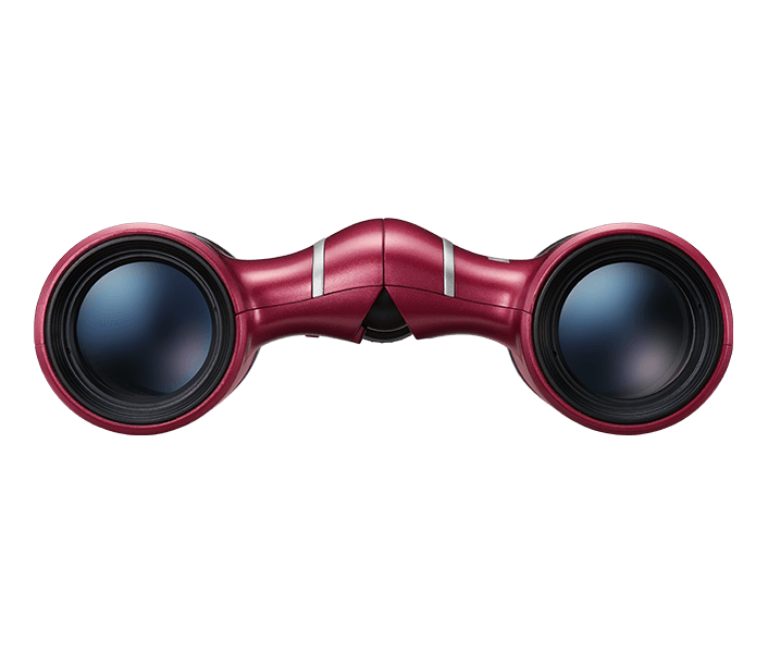 Бинокль Nikon Aculon T02 8x21 красный купить,NaN