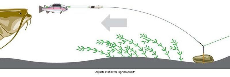 Оснастка Madcat Screaming Profi River Rig Deadbait 180CM 1.00MM 3/0+10/0 60G 180 см купить,NaN