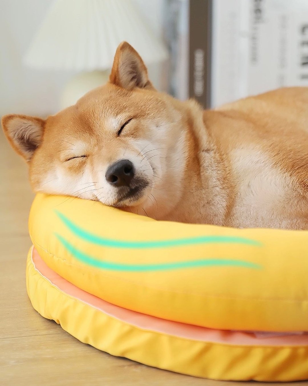 Лежак DogLemi Yellow SMILE 50 см x 40 см купить,0