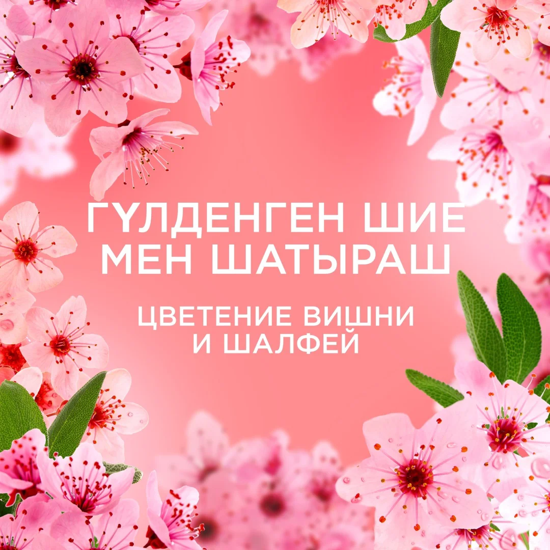 Кондиционер для белья Lenor цветение вишни и шалфей 675 мл купить,NaN