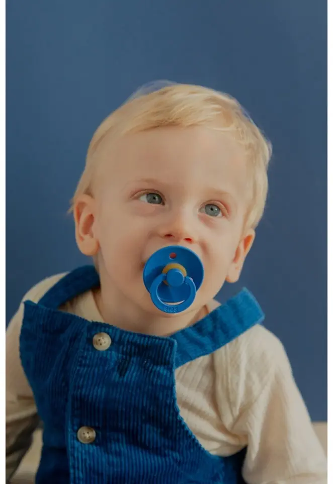BIBS Пустышка Colour Cornflower 0+ месяцев купить,NaN