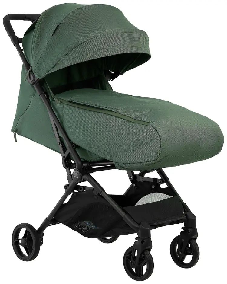 Коляска прогулочная Pituso Pera Plus X-888/Taiga Green, зеленый купить,151000