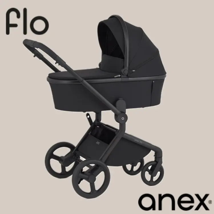Коляска универсальная 2 в 1 Anex Flo Lungo, черный купить,NaN