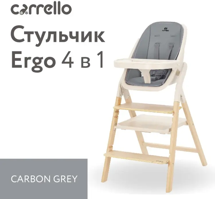 Стульчик трансформер CARRELLO Ergo CRL-16701 Carbon Grey серый