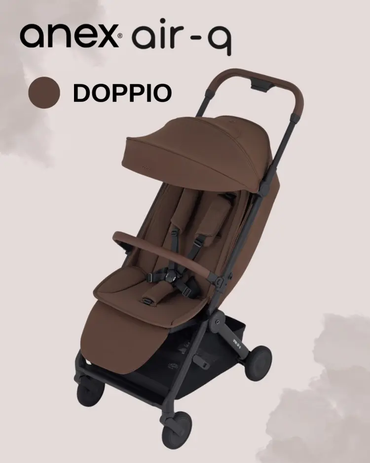 Коляска прогулочная Anex Air-q, коричневый