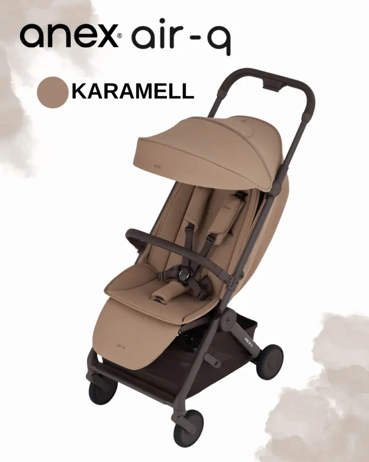 Коляска прогулочная Anex Air-q, светло-коричневый