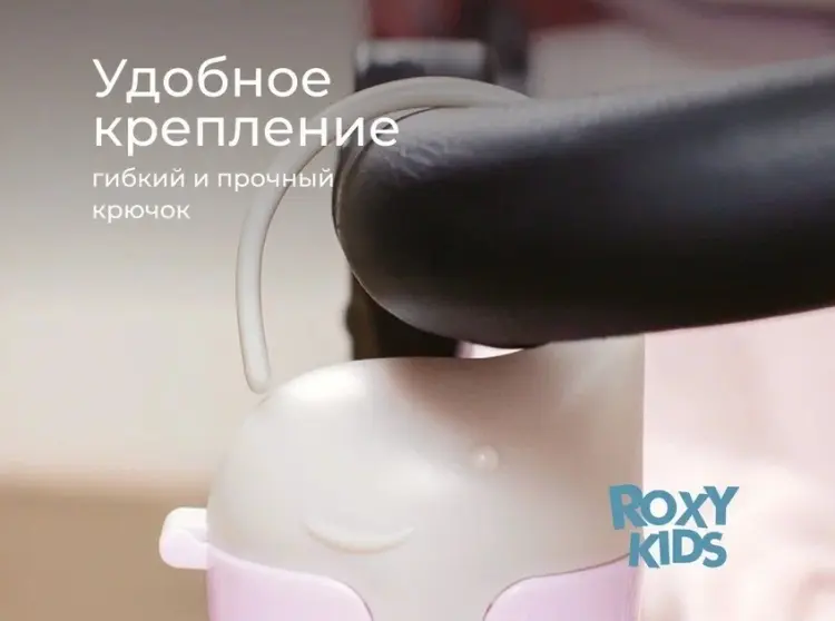 Футляр для пустышек ROXY-KIDS REF-001-V, 1 шт, мультиколор