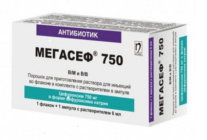 Нобел Илач Санайи ве Тиджарет А.Ш. Мегасеф 750мг N1 пор д/приг р-ра д/инъекций + растворитель 6мл