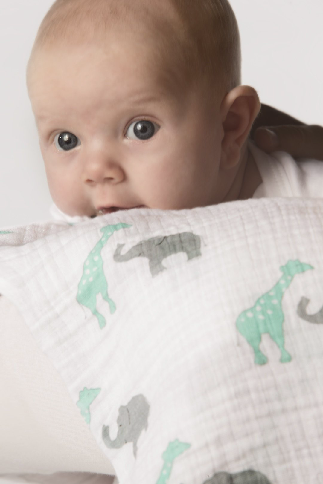 Пеленка текстильная Swaddle Designs Sweet Dreams SD-476SC, 3 шт, 120x120 см купить,NaN