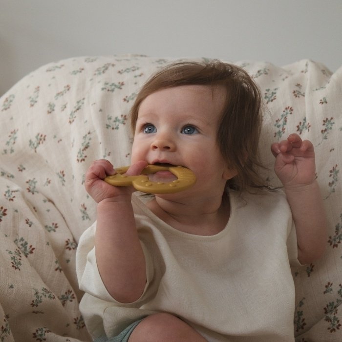 Прорезыватель грызунок BIBS Baby Bitie Star Blush купить,0
