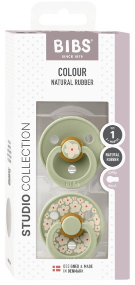 Набор пустышек BIBS Studio collection Colour 2 шт. Jasmine - Sage Mix 0+ месяцев, 2 шт, зеленый - ForteMarket Набор пустышек BIBS Studio collection Colour 2 шт. Jasmine - Sage Mix 0+ месяцев, 2 шт, зеленый купить,0